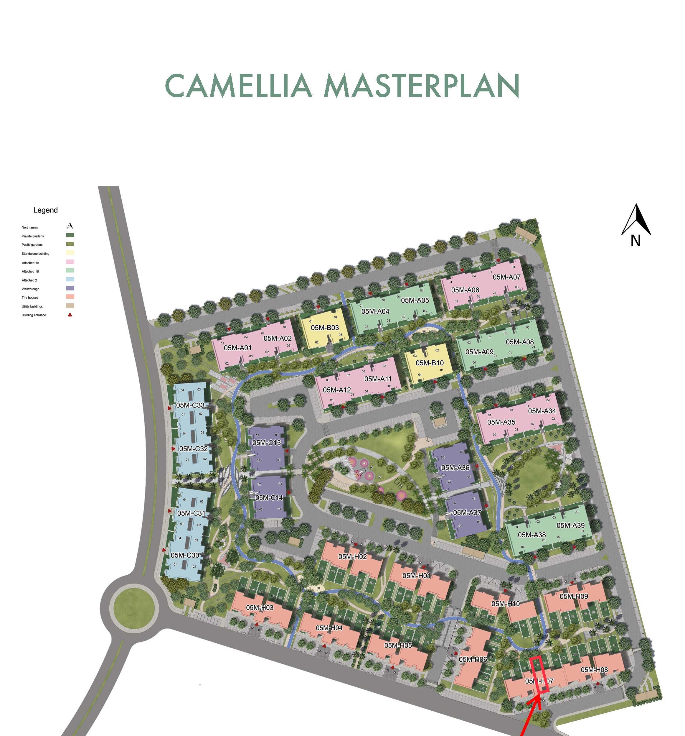 Camellia الماستر بلان