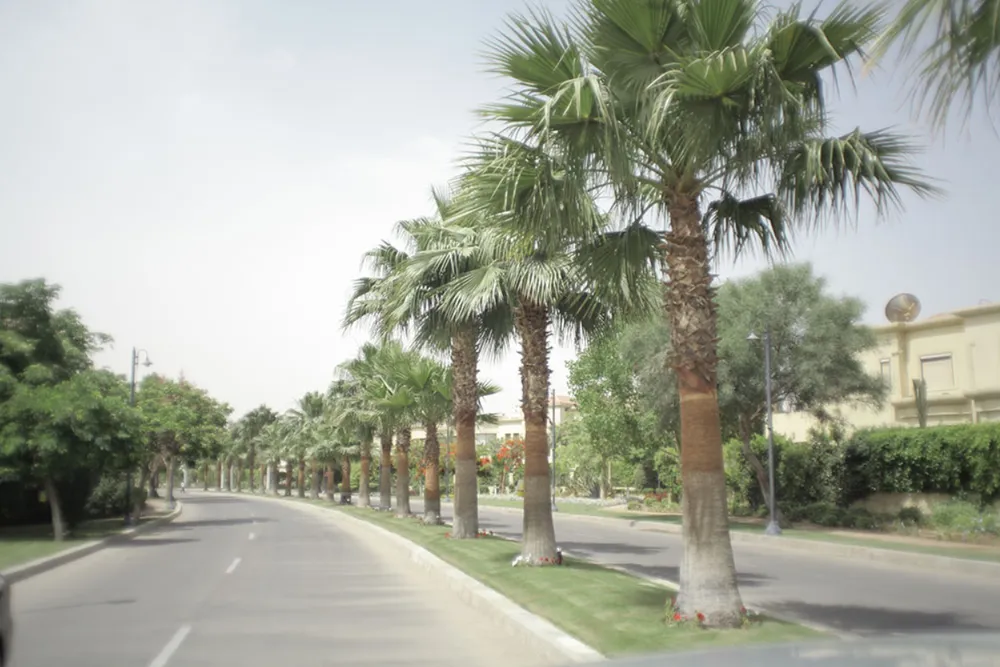 فيلا في Gardenia Park 1